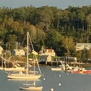 crop sea